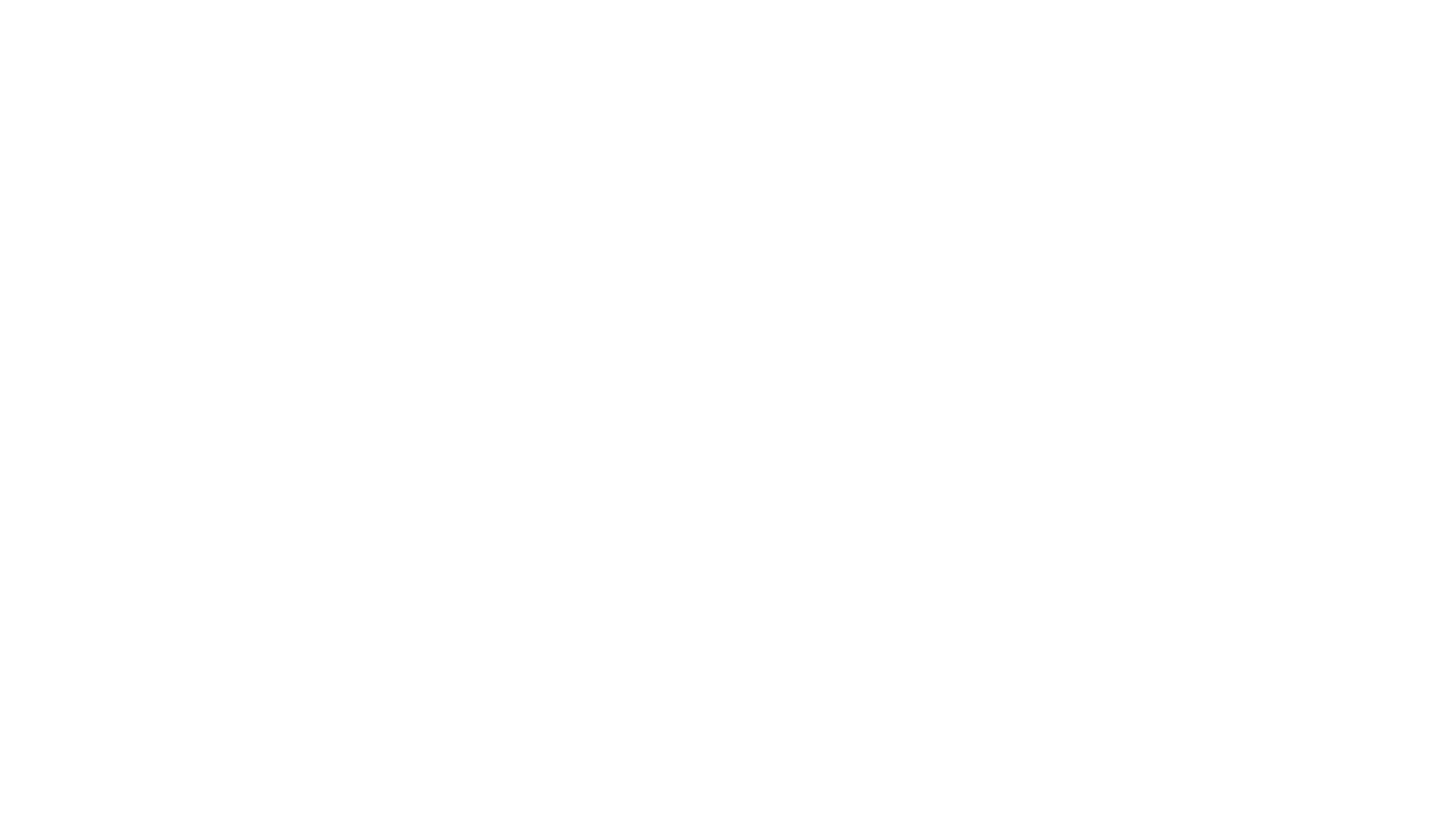 RISE